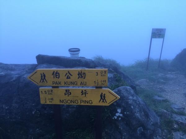 拯救老科学家