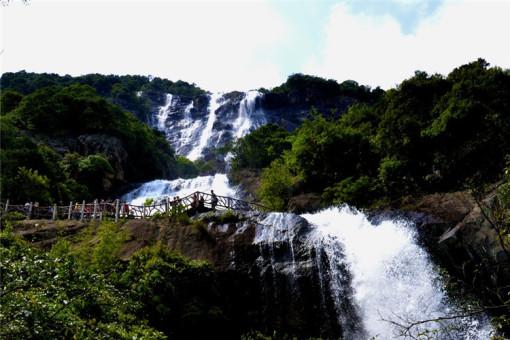 奥莉的夏威夷之旅
