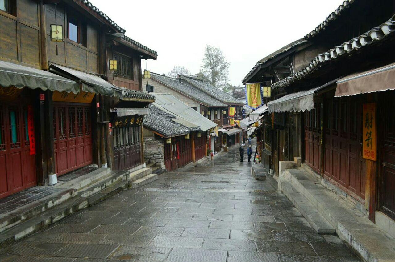 什么牌子洗发水好用不掉发?掉发星人护发好物合集